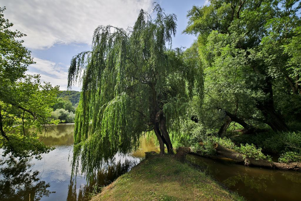 Romantic Hotel Mlyn Karlštejn Екстериор снимка